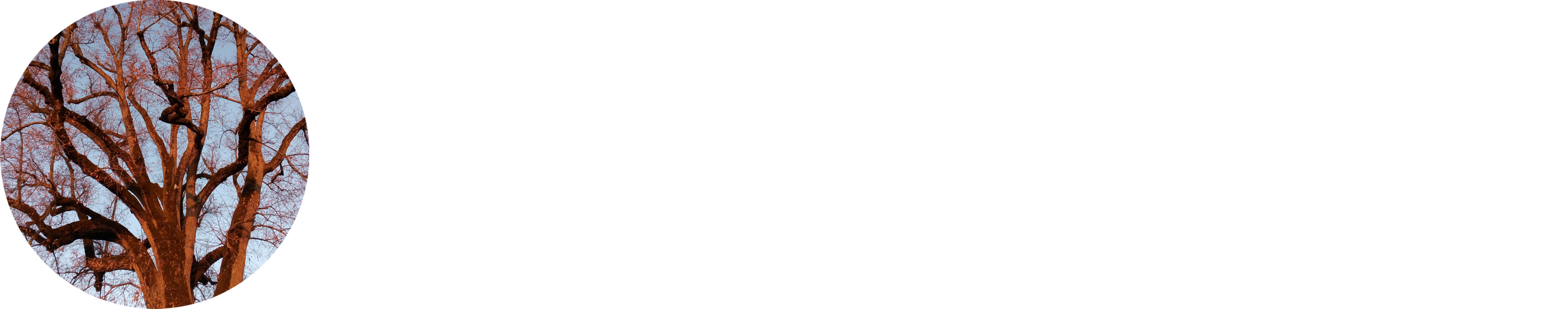 Curti-Curiosités
