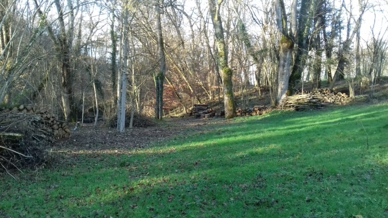 Oeuvres symphoniques sur le thème de la Forêt